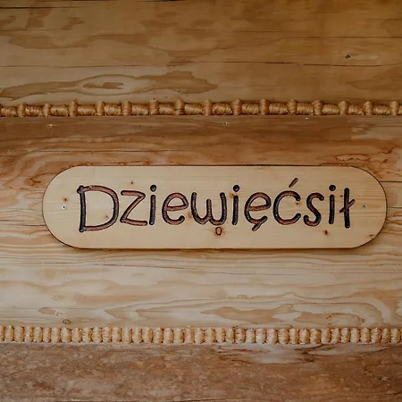 بيت خشبي Osada - Dom „dziewiecsil” Witów